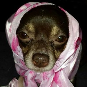 Meet your Posher, Bernadette